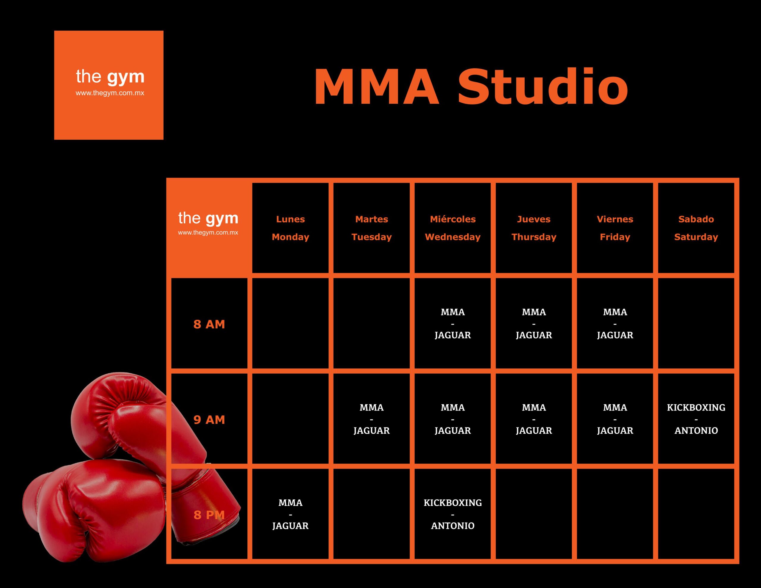 MMA (1)